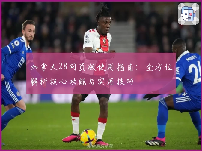 加拿大28网页版使用指南：全方位解析核心功能与实用技巧
