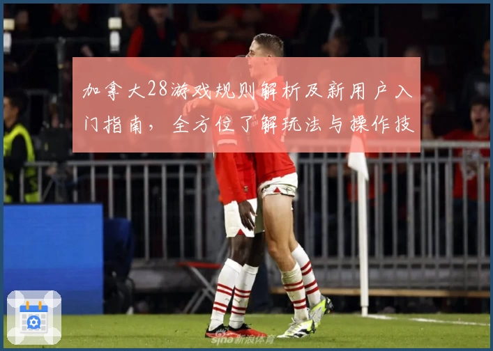 加拿大28游戏规则解析及新用户入门指南,全方位了解玩法与操作技巧