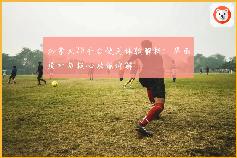 加拿大28平台使用体验解析：界面设计与核心功能详解