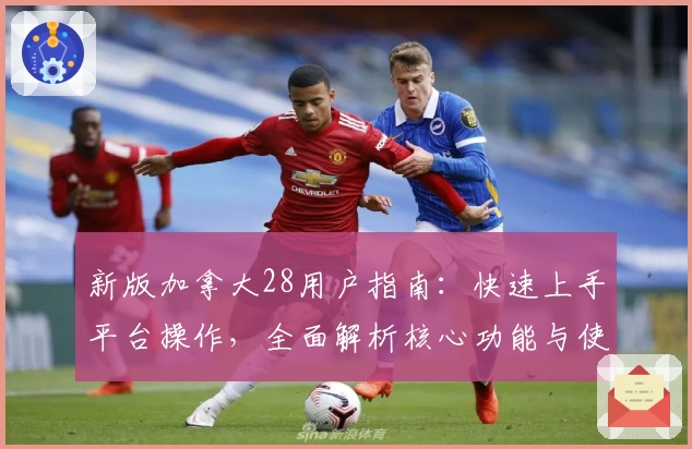 新版加拿大28用户指南：快速上手平台操作，全面解析核心功能与使用技巧