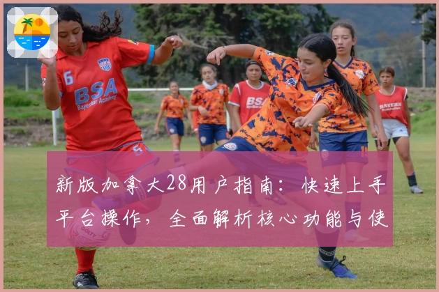 新版加拿大28用户指南：快速上手平台操作，全面解析核心功能与使用技巧