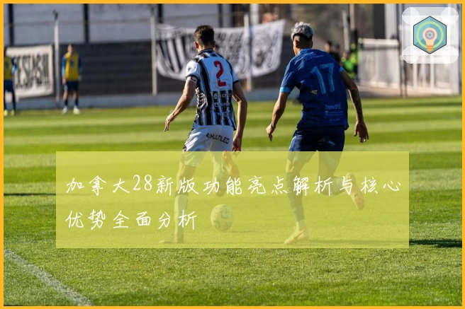 加拿大28新版功能亮点解析与核心优势全面分析