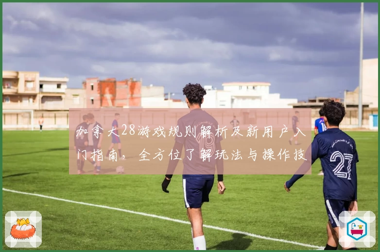 加拿大28游戏规则解析及新用户入门指南，全方位了解玩法与操作技巧