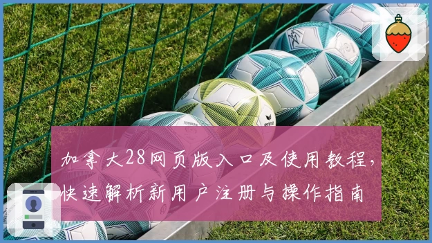 加拿大28网页版入口及使用教程，快速解析新用户注册与操作指南