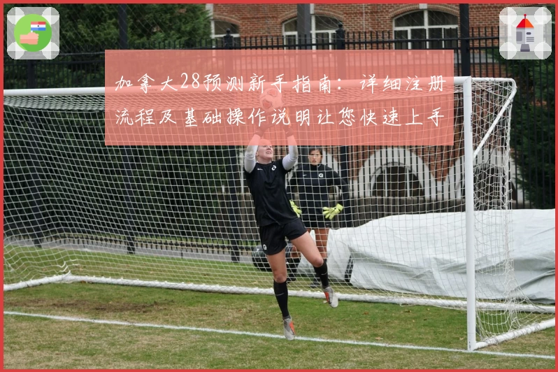 加拿大28预测新手指南：详细注册流程及基础操作说明让您快速上手