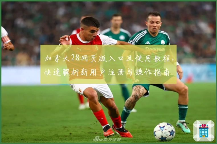 加拿大28网页版入口及使用教程,快速解析新用户注册与操作指南