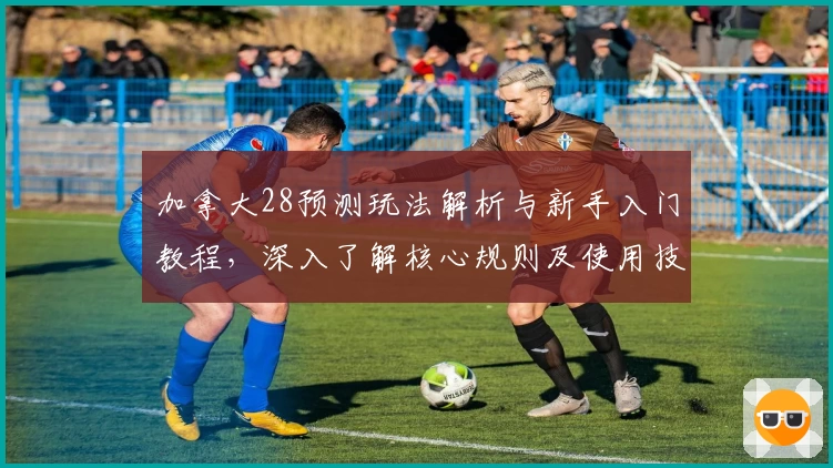 加拿大28预测玩法解析与新手入门教程，深入了解核心规则及使用技巧