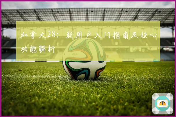 加拿大28：新用户入门指南及核心功能解析