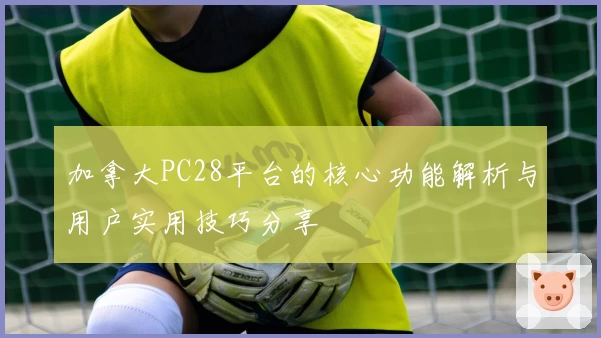 加拿大PC28平台的核心功能解析与用户实用技巧分享