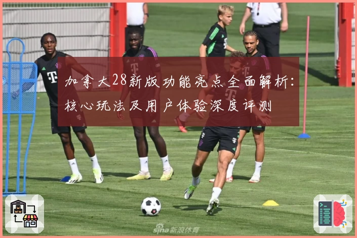 加拿大28新版功能亮点全面解析：核心玩法及用户体验深度评测