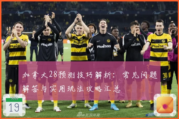 加拿大28预测技巧解析：常见问题解答与实用玩法攻略汇总